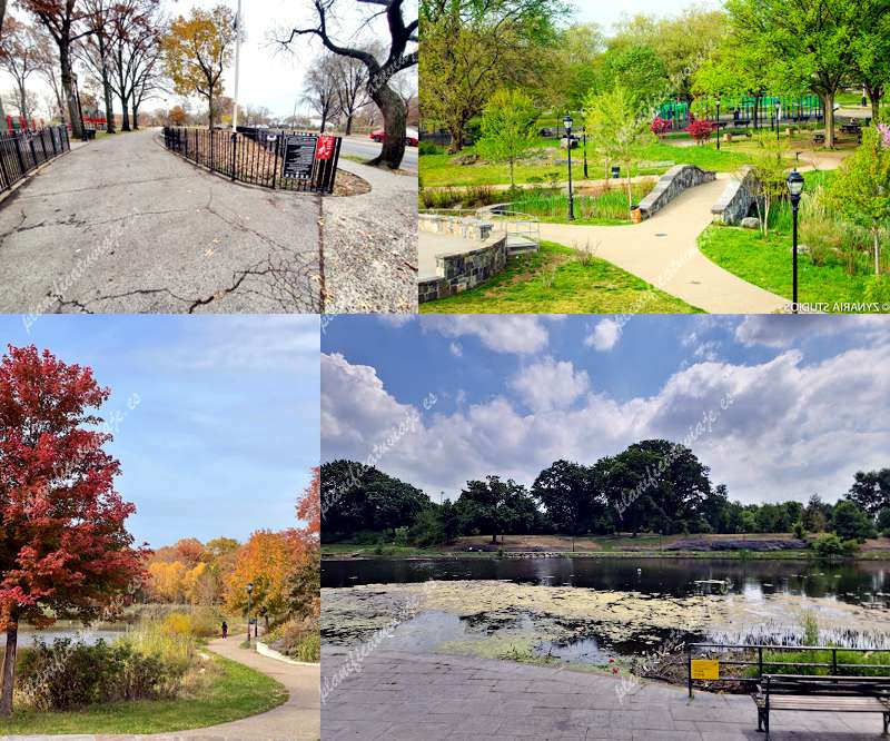 Croton Park de The Bronx | Horario, Mapa y entradas