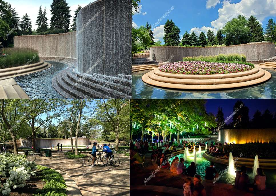 Crystal City Water Park de Arlington | Horario, Mapa y entradas 9