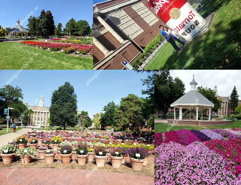 CSU Annual Flower Trial Gardens de Fort Collins | Horario, Mapa y entradas