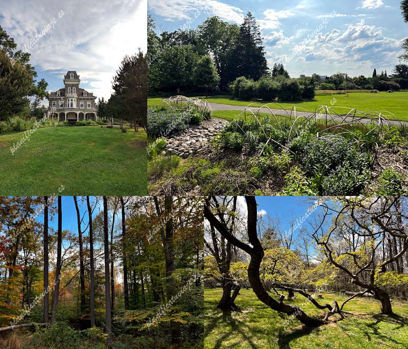 Cylburn Arboretum de Baltimore | Horario, Mapa y entradas 18