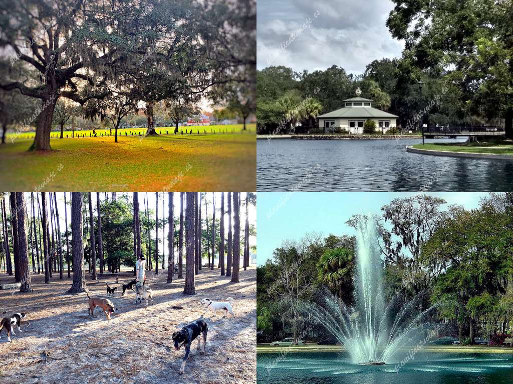 Dog Park de Savannah | Horario, Mapa y entradas 11