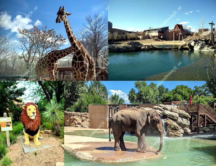 Denver Zoo de Denver | Horario, Mapa y entradas