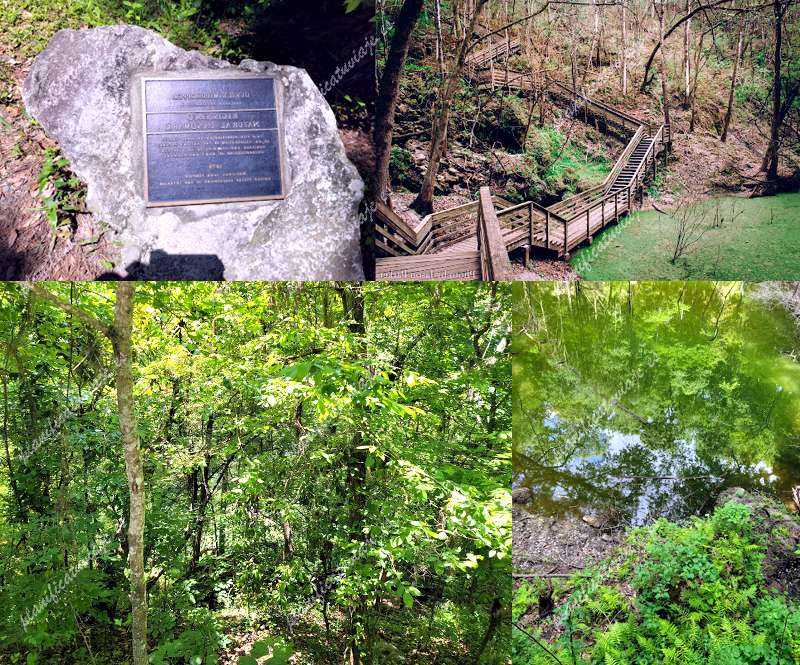 Devil's Millhopper Geological State Park de Gainesville | Horario, Mapa y entradas 2