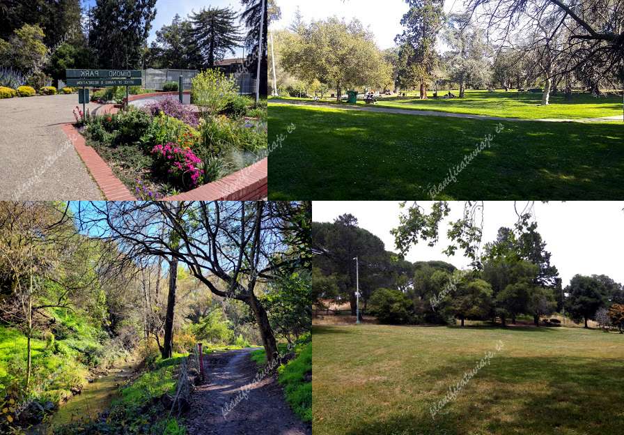 Dimond Park de Oakland | Horario, Mapa y entradas 3
