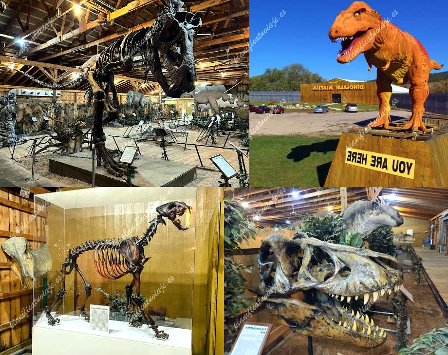 Dinosaur Museum de Rapid City | Horario, Mapa y entradas