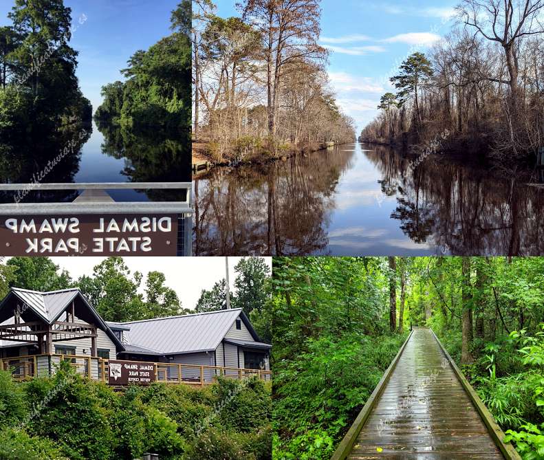 Dismal Swamp State Park de South Mills | Horario, Mapa y entradas 2