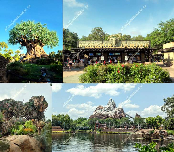 Disney's Animal Kingdom Theme Park de Lake Buena Vista | Horario, Mapa y entradas