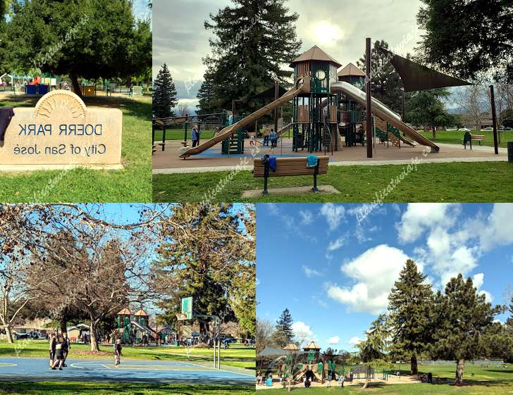 Doerr Park de San Jose | Horario, Mapa y entradas 2