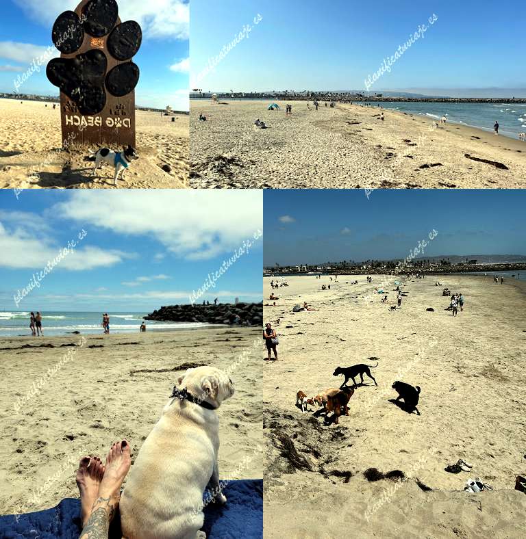 Dog Beach de San Diego | Horario, Mapa y entradas