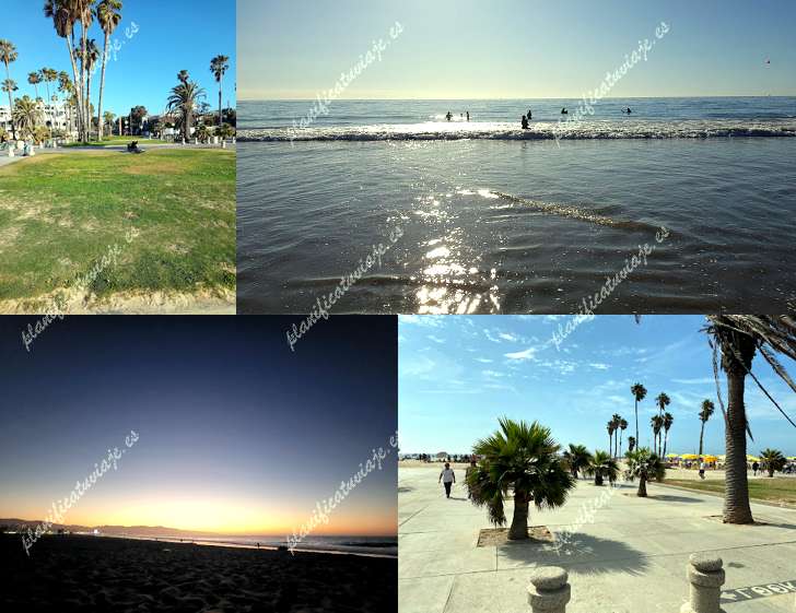 Dorothy Green Park de Santa Monica | Horario, Mapa y entradas