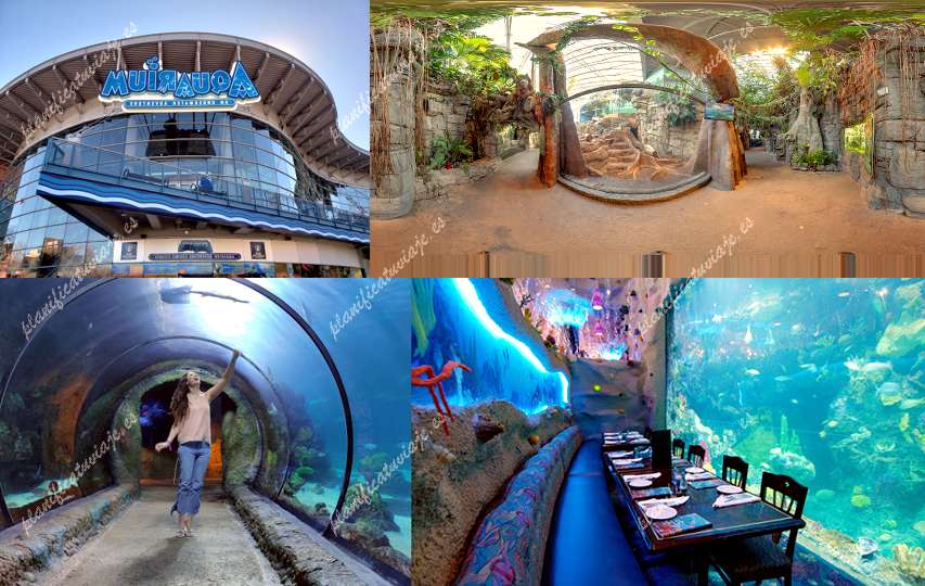 Downtown Aquarium de Denver | Horario, Mapa y entradas