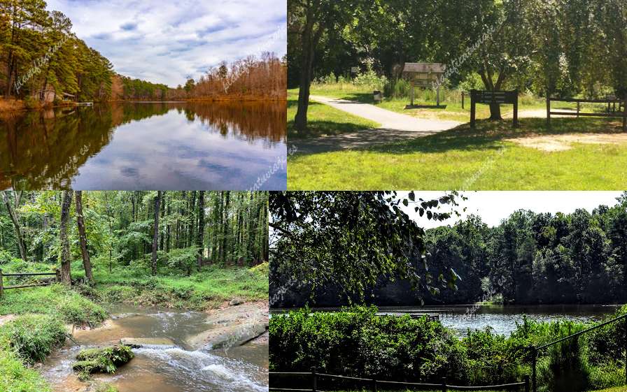 Durant Nature Preserve de Raleigh | Horario, Mapa y entradas