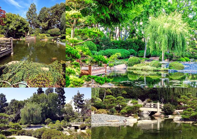 Earl Burns Miller Japanese Garden de Long Beach | Horario, Mapa y entradas