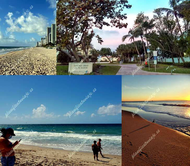 Earl Lifshey Ocean Park de Fort Lauderdale | Horario, Mapa y entradas
