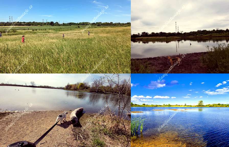 East Branch Forest Preserve de Lombard | Horario, Mapa y entradas