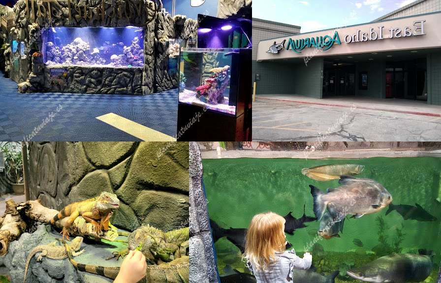 East Idaho Aquarium de Idaho Falls | Horario, Mapa y entradas