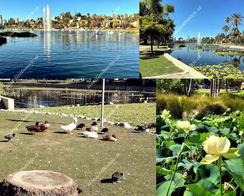 Echo Park Lake de Los Angeles | Horario, Mapa y entradas