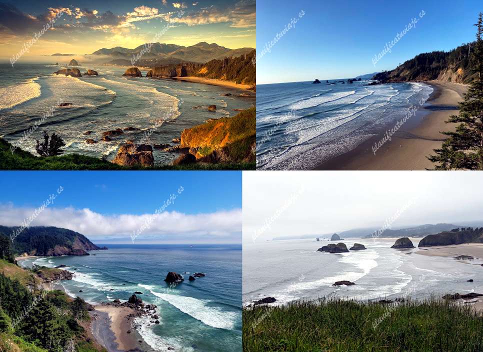 Ecola State Park de Cannon Beach | Horario, Mapa y entradas