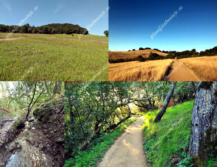 Edgewood Park & Natural Preserve de Redwood City | Horario, Mapa y entradas