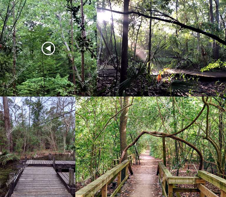 Edith L Moore Nature Sanctuary de Houston | Horario, Mapa y entradas