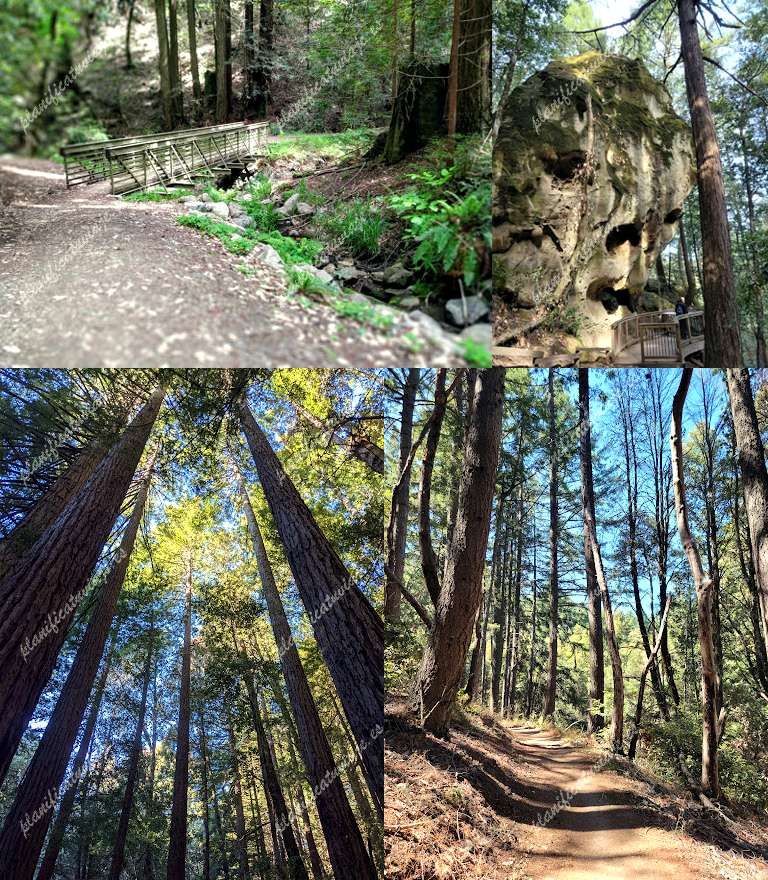 The Creek Preserve Wood Cutting de Redwood City | Horario, Mapa y entradas