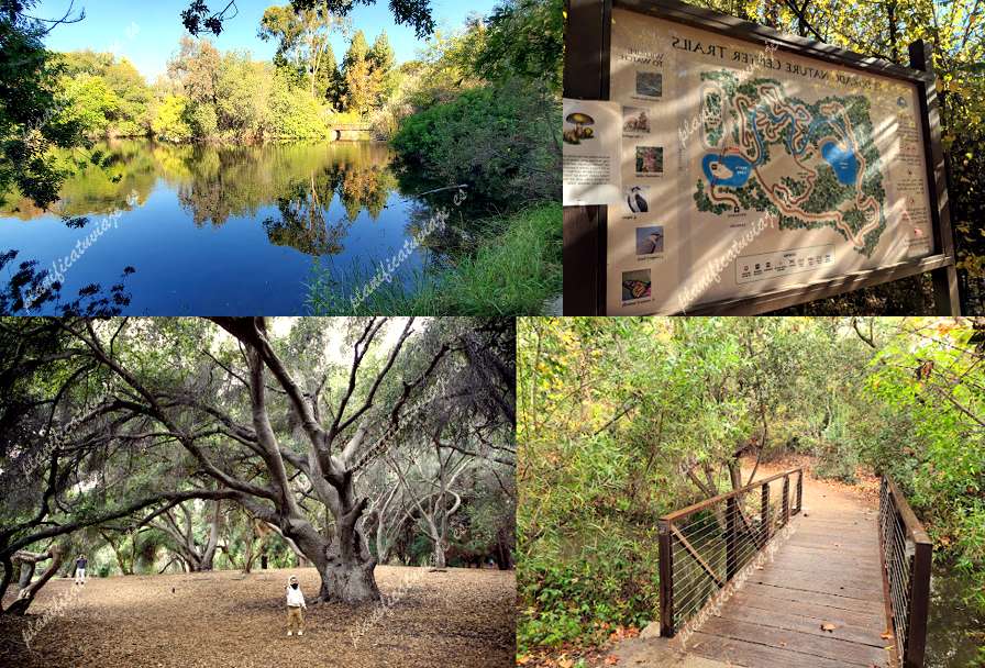 El Dorado Nature Center de Long Beach | Horario, Mapa y entradas