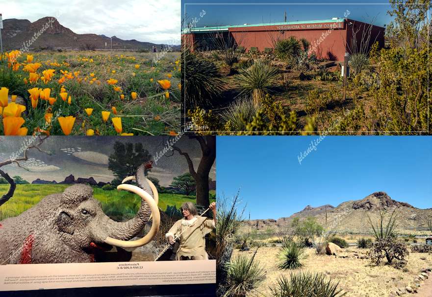 El Paso Museum of Archaeology de El Paso | Horario, Mapa y entradas
