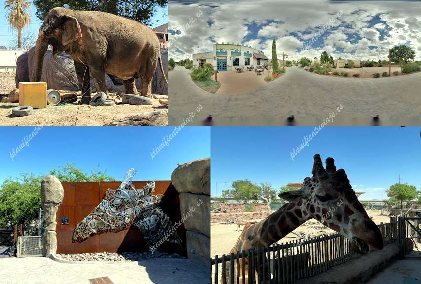 El Paso Zoo and Botanical Gardens