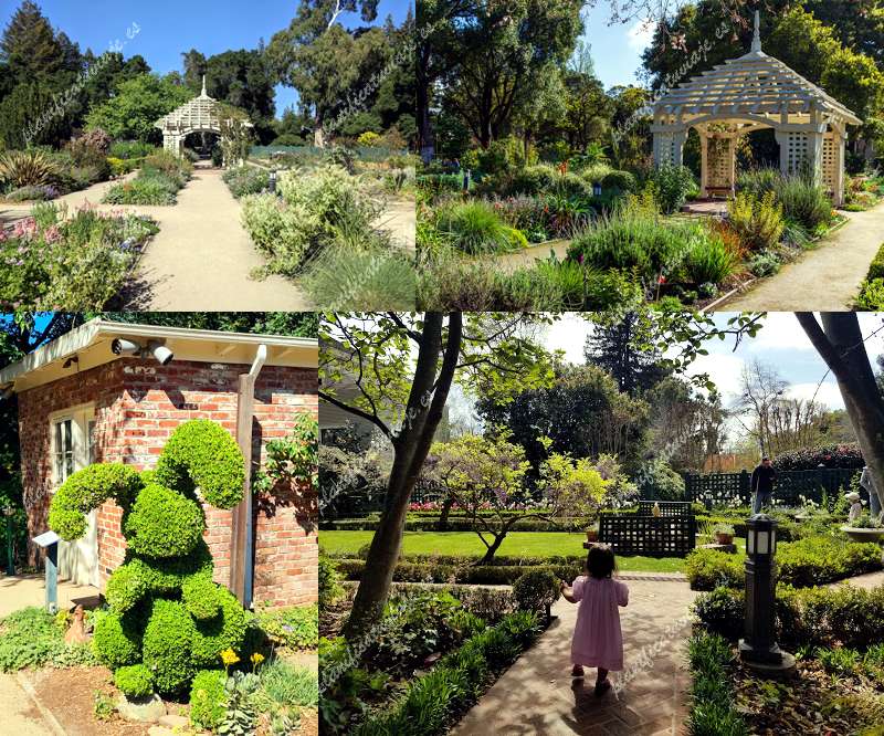 Elizabeth F. Gamble Garden de Palo Alto | Horario, Mapa y entradas