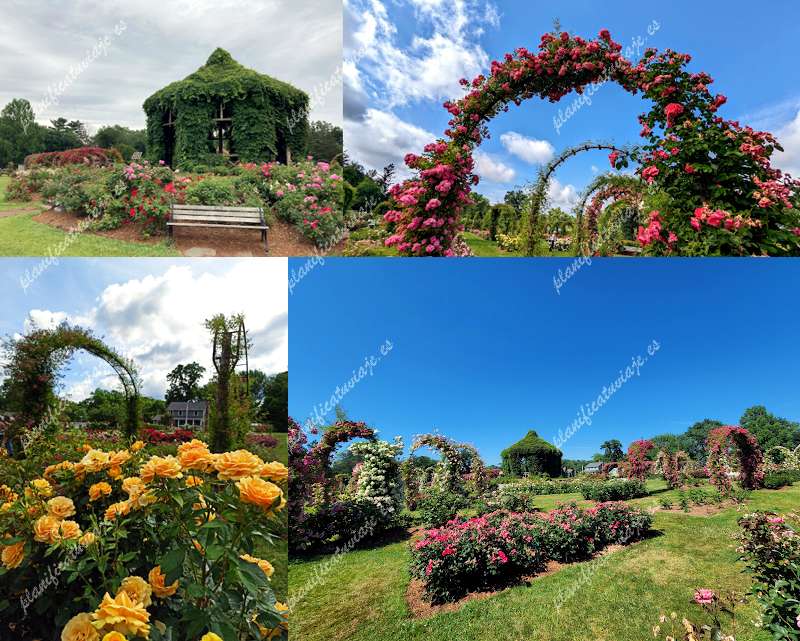 Elizabeth Park Rose Garden de Hartford | Horario, Mapa y entradas