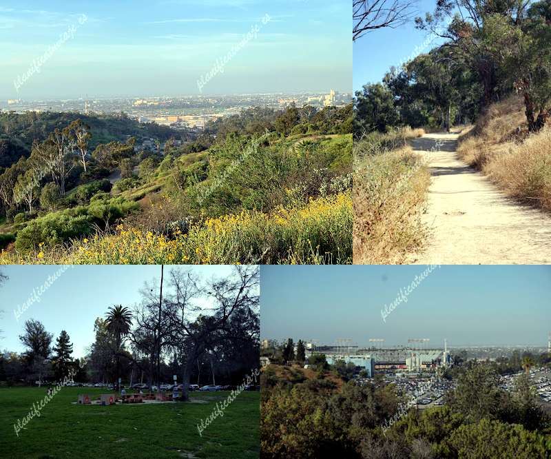 Elysian Park Trail de Los Angeles | Horario, Mapa y entradas