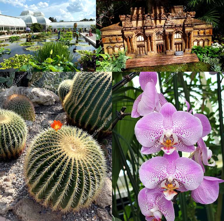 Enid A. Haupt Conservatory, NYBG de The Bronx | Horario, Mapa y entradas