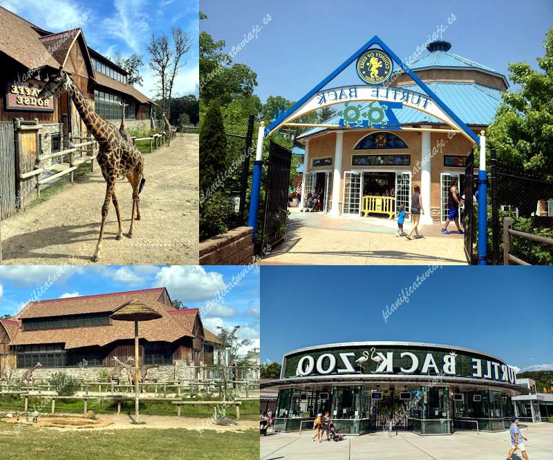 Essex County Turtle Back Zoo de West Orange | Horario, Mapa y entradas 2