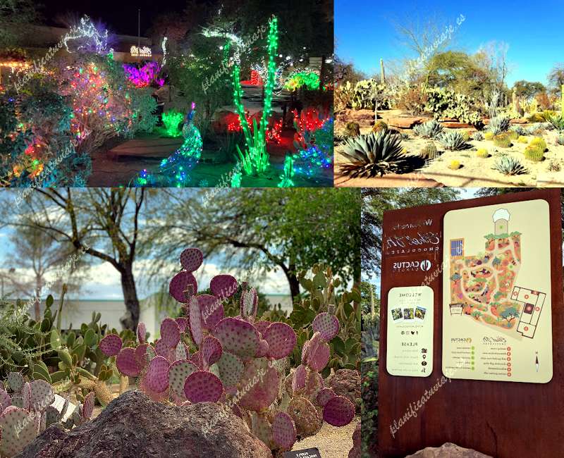 Ethel M Botanical Cactus Garden de Henderson | Horario, Mapa y entradas