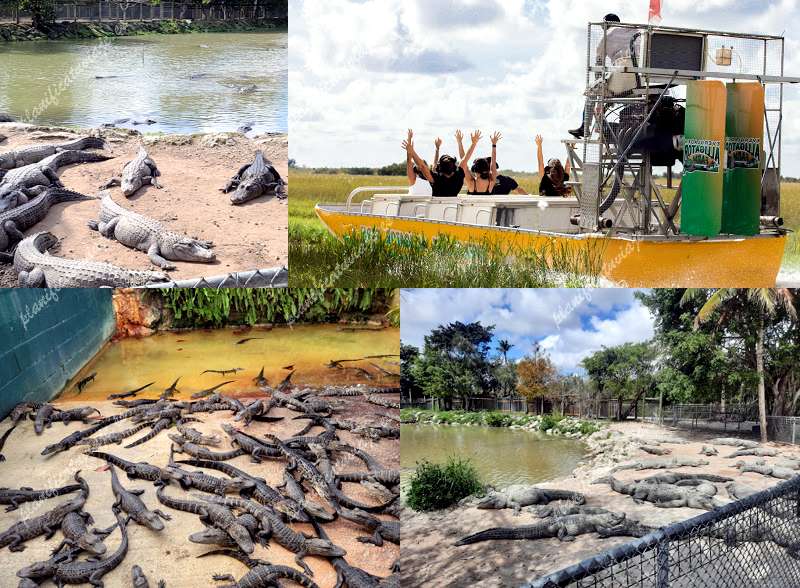 Everglades Alligator Farm de Homestead | Horario, Mapa y entradas