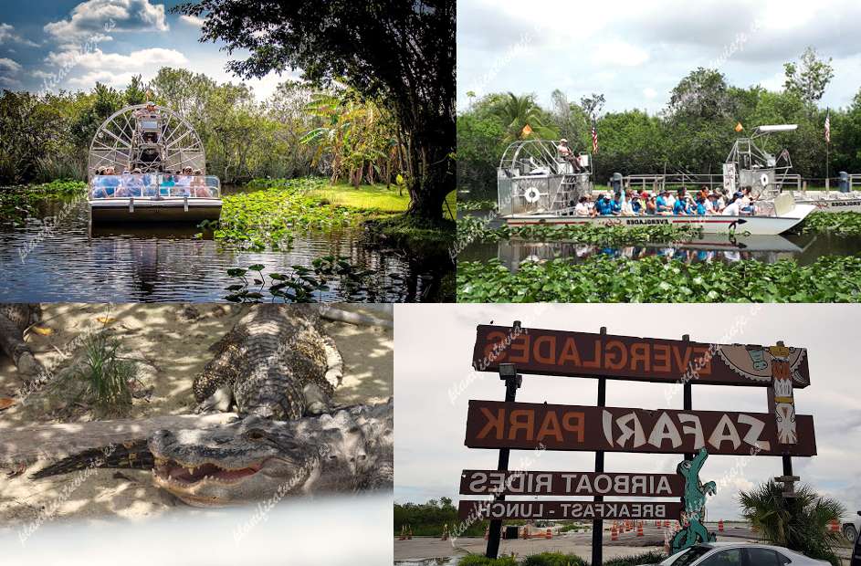 Everglades Safari Park de Miami | Horario, Mapa y entradas