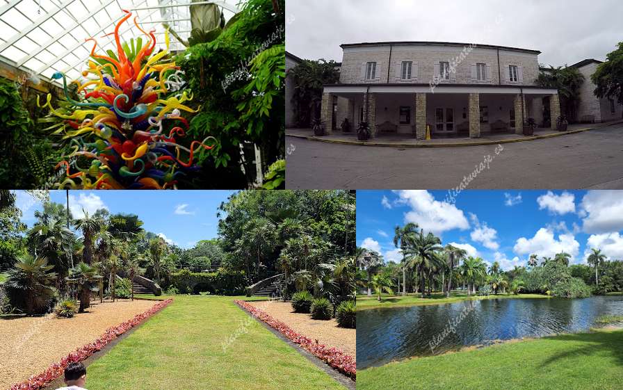 Fairchild Tropical Botanic Garden de Coral Gables | Horario, Mapa y entradas