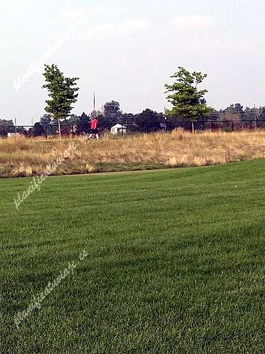 Fairfax Park