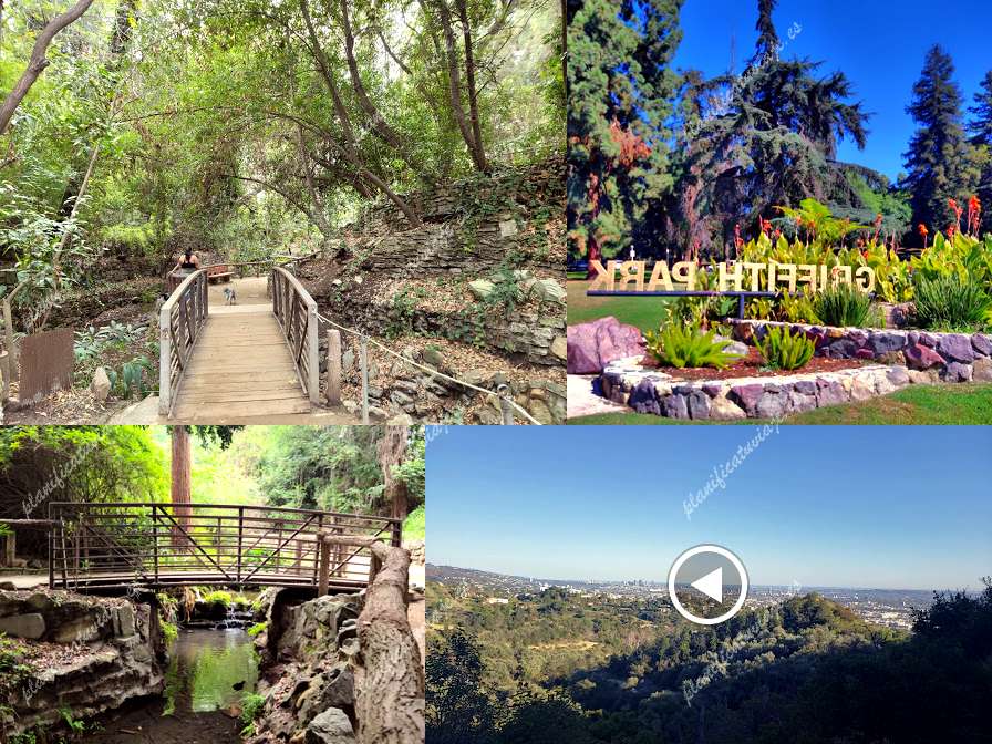 Fern Dell Nature Trail de Los Angeles | Horario, Mapa y entradas