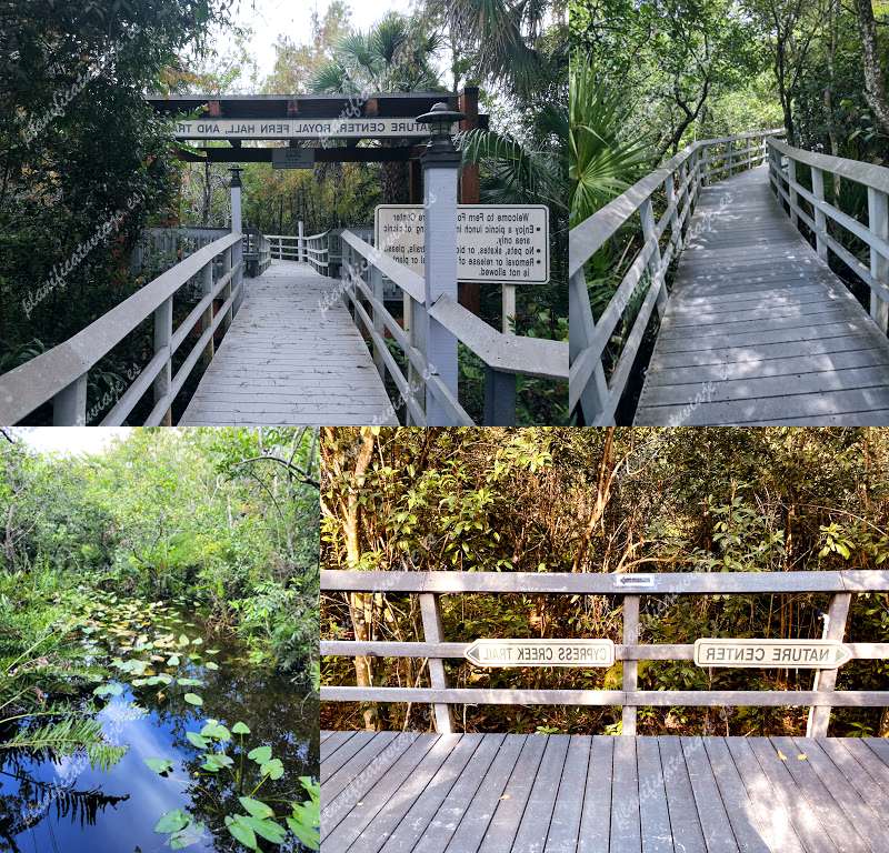 Fern Forest Nature Center de Coconut Creek | Horario, Mapa y entradas