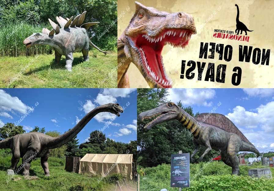 Field Station: Dinosaurs de Leonia | Horario, Mapa y entradas
