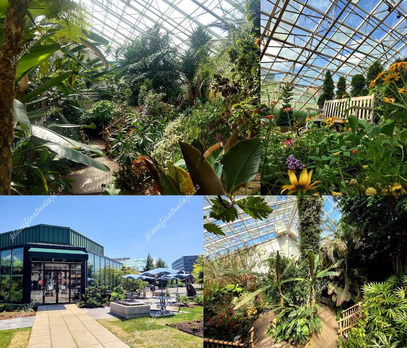 Foellinger-Freimann Botanical Conservatory de Fort Wayne | Horario, Mapa y entradas