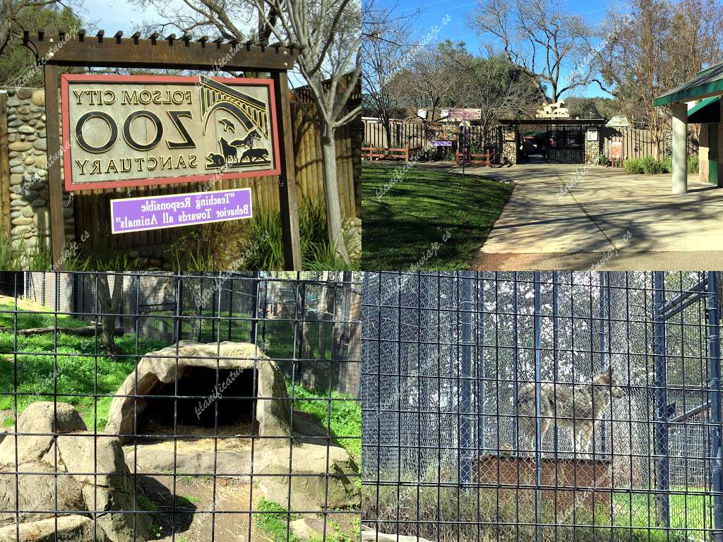 Folsom City Zoo Sanctuary de Folsom | Horario, Mapa y entradas