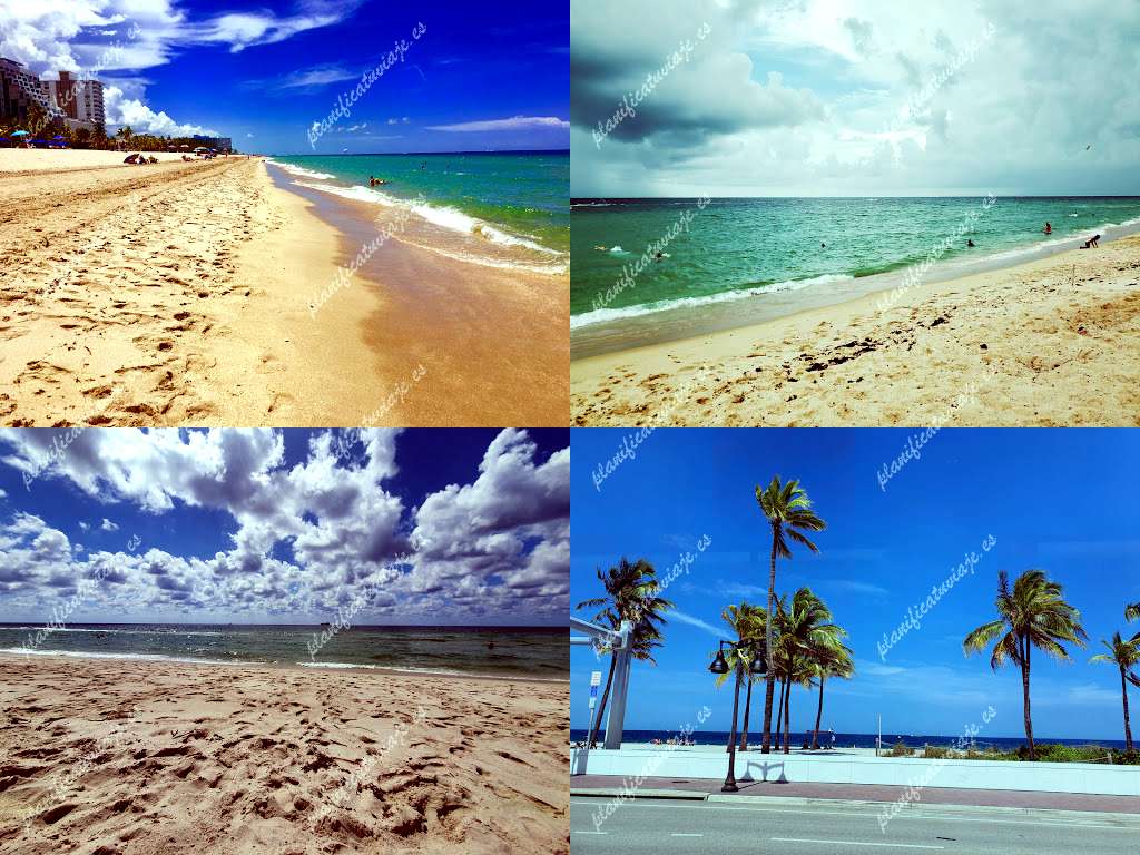 Fort Lauderdale Beach de Fort Lauderdale | Horario, Mapa y entradas