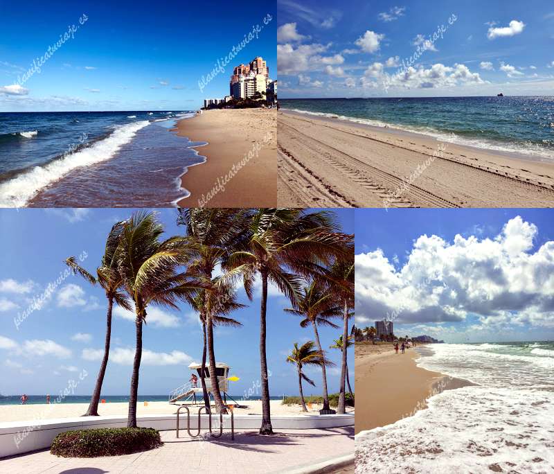 Fort Lauderdale Beaches de Fort Lauderdale | Horario, Mapa y entradas