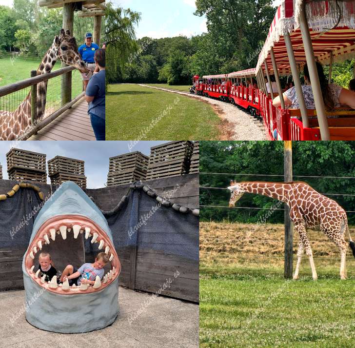 Fort Wayne Children's Zoo de Fort Wayne | Horario, Mapa y entradas