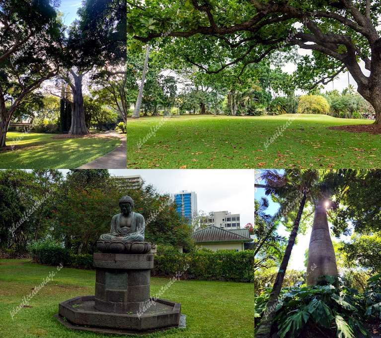 Foster Botanical Garden de Honolulu | Horario, Mapa y entradas 34