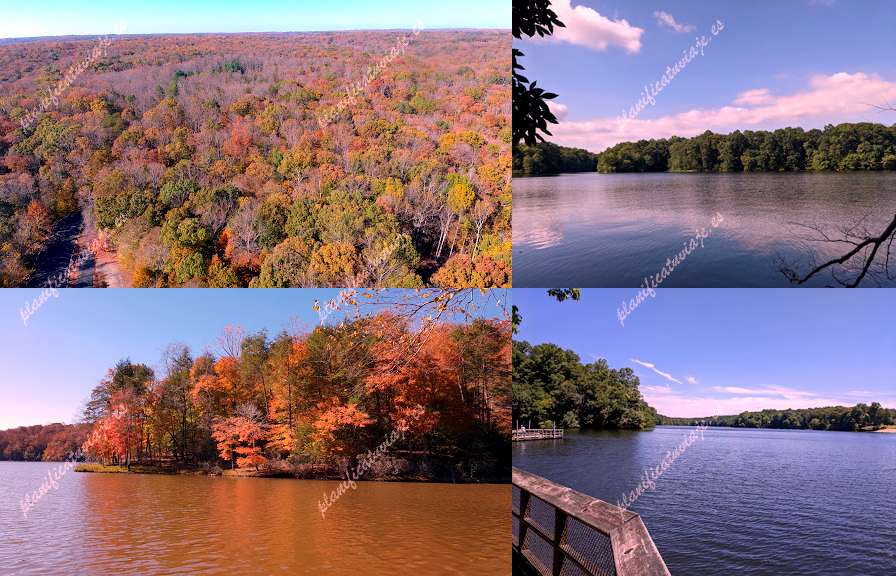 Fountainhead Regional Park de Fairfax Station | Horario, Mapa y entradas 2