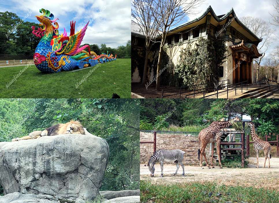 Franklin Park Zoo de Boston | Horario, Mapa y entradas
