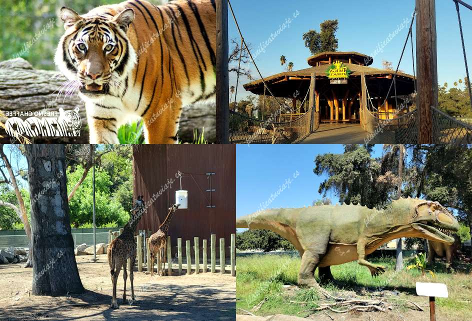 Fresno Chaffee Zoo de Fresno | Horario, Mapa y entradas